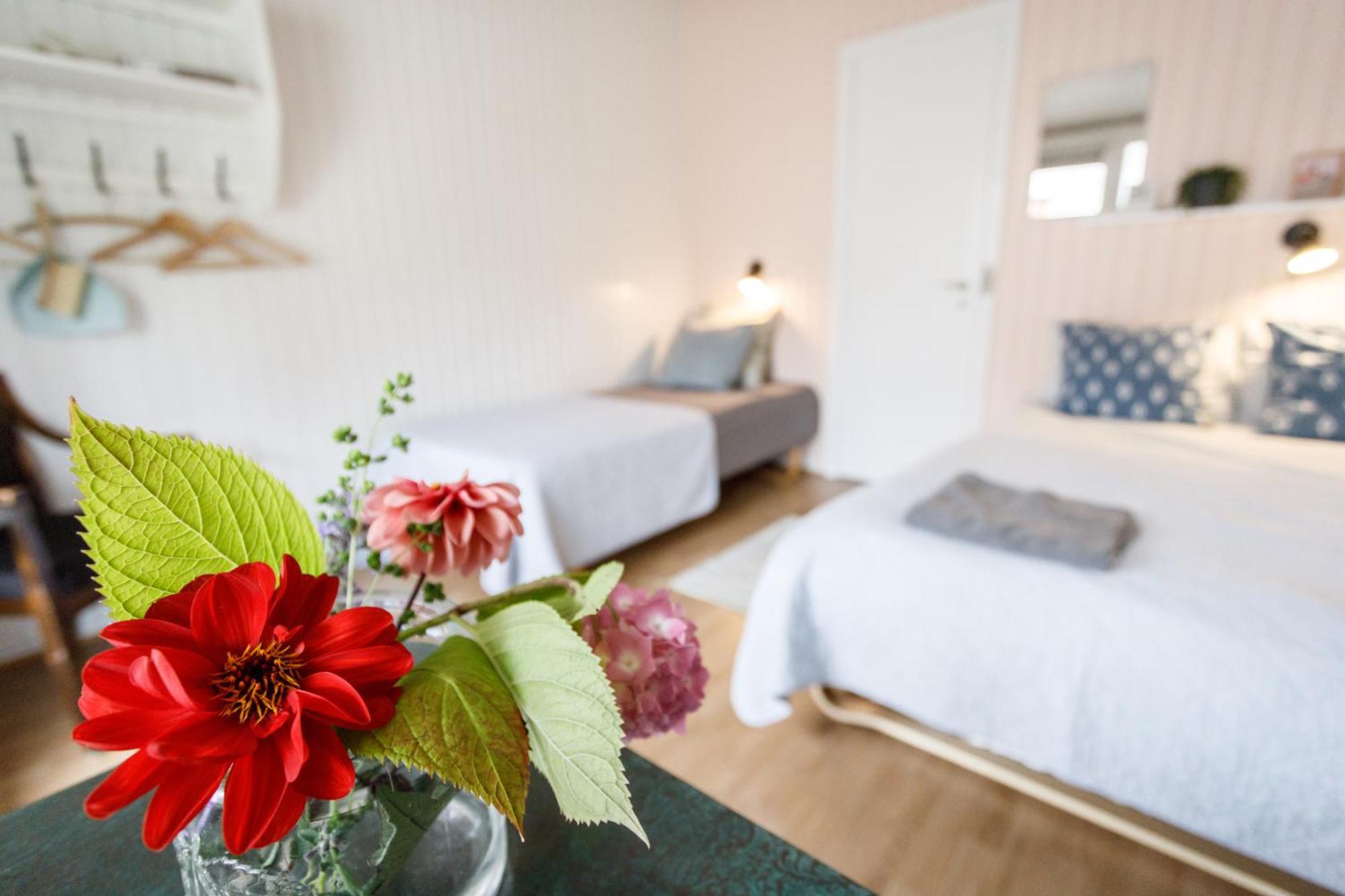 Danhostel Stevns Klint Store Heddinge Eksteriør bilde